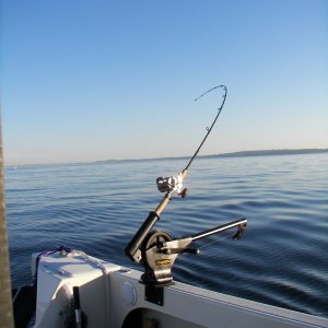 Puget Sound, Wa. Aug.2010