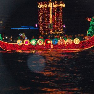 Viking ship