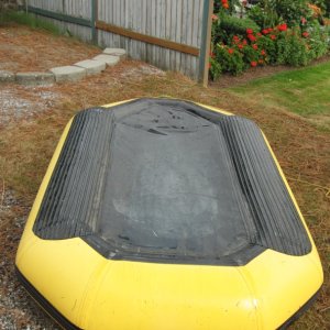 IMG 0081