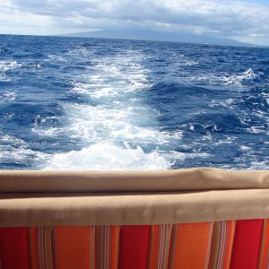 Stern view