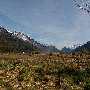 Sun shining, wind calm, geese honking.  It's quite different from this view.  Right in the center behind the willows is the dust cloud that shows in the other pictures.  Still blowing a gale out there.