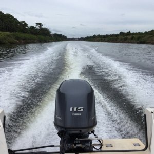 Media 'Cruising' in album 'Bahamas 2010'