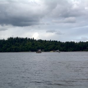 Media 'Probably can't see the dead grey whale in Budd Inlet. Harbor patrol boat just pulling up to it, after recieving the report a short while earlier.' in album 'Heading south down Pickering Passage from Jarrell Cove'