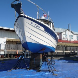 Best Hull Pictures (14)