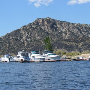 Media 'IMG 0759' in album 'I'm guessing this an antelope wondering around the boat trailer parking area at Lucerne Valley Marina,Flaming Gorge Utah'