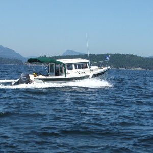 Shrek - day cruise to Oak Bay, BC