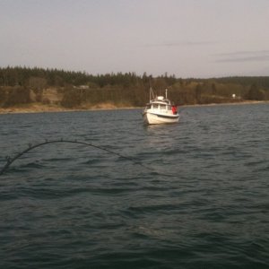 Checkpoint II - March 27, 2010