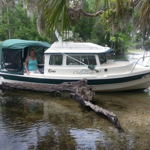 Salt Springs
