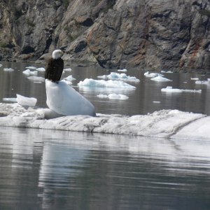 Cold Feet