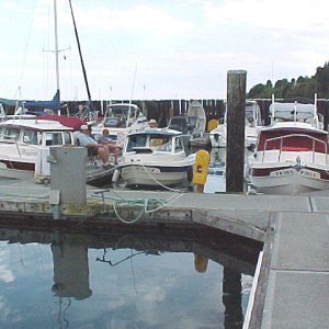 Daydream, Bambina and Anna Leigh - On Dock Roger and Probably Pat, Brock on Bambina