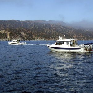 Discovery and Dinner Belle II