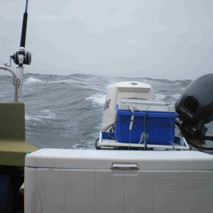 Big swell comming up