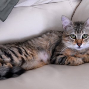 Izzy is getting bigger