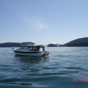 19 June  HALCYON