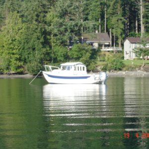 Media '19 June Blind Bay
   R-MATEY' in album '8 June Bellingham
Squalicum Harbor
HALCYON crew & Joe'