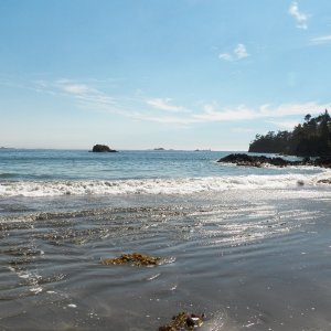 This is the "surf" from the Pacific swell.  I found a sand dollar, but being as it was Canadian, it was really only 78 cents.