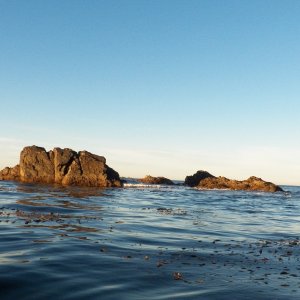 There was enough swell out at the islets that it was difficult to get the horizon correct in my photos.  Lots of otters much closer to the boat than at Quatsino.