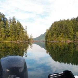 Our favorite anchorage at Limpet Lagoon.  A winding 12' deep, 20' wide, rocky opening into a perfectly protected sandy bottom.  Plus a black bear on the beach.