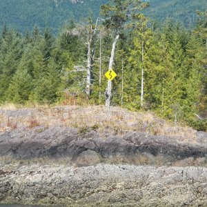 The approach to Limpet Lagoon is well marked, sort of.
