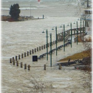Port Dover - Feb. 24, 2019