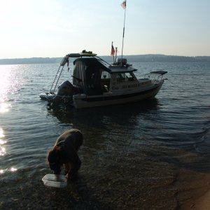 Looking for rocks.