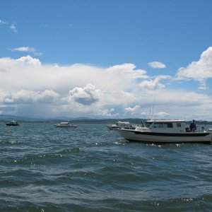 (Work Release) Sturgeon Trip