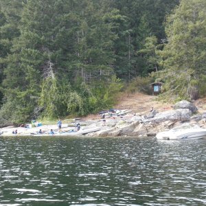 Kyakers in Grace Harbour.