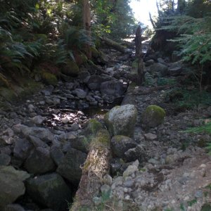 Old log flume, Roscoe Bay.
