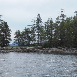 Martin Islands.