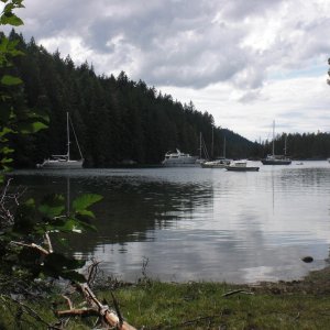 Looking out into Laura Cove.
