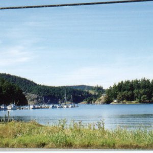 This is home..Cornet Bay from our shop and my place.