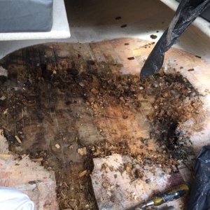 Starting to remove all of the exposed core