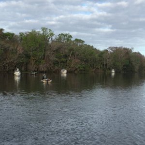 116DeLeonSprings