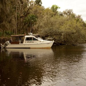 Molly Brown on the Encolockhatchee