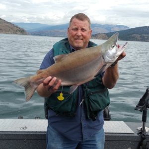Media 'Kokanee 8.77 lbs 
BC, Canada 08 2015' in album 'Kootenay Gerrard Rainbow 27 lbs.'