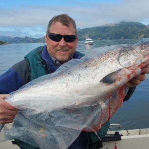 Salmon Tokeland
One of many