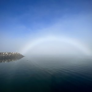 Media 'Fogbow in Seal Cove, Grand Manan Island, Bay of Fundy' in album '3 month voyage of the Isabel'
