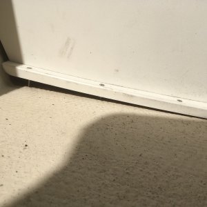 IMG 0907