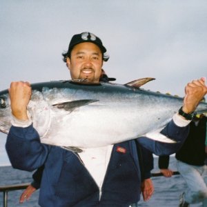 75lb bluefin tuna