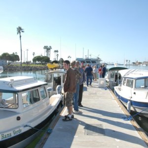 Islander020