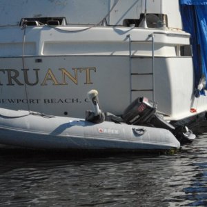 Islander130
A pelican and his dingy