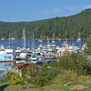 Media 'A cozy little marina' in album 'We got kicked out of Ladysmith for being too rowdy. They made us leave despite the strong breeze!'
