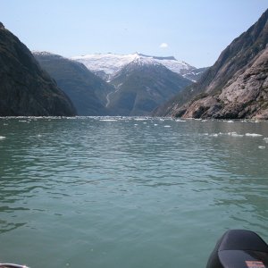 Tracy Arm, Looking back.  08/07/05
