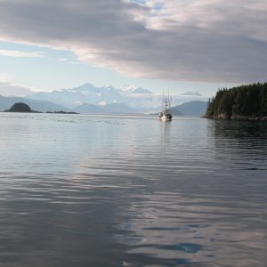 View from the dock at Elfin Cove, Alaska