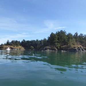 Media 'Saddlebag Island' in album 'Friday night sunset'