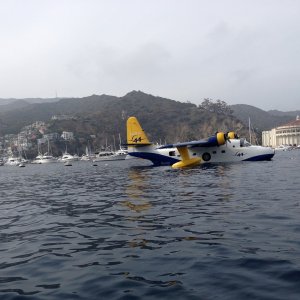 IMG 5345