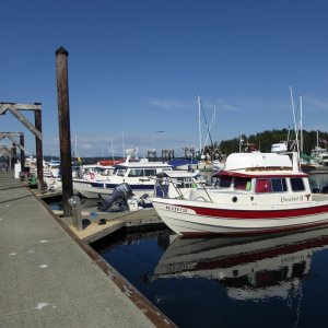 Some of the C-Brats at Friday Harbor on May 20th