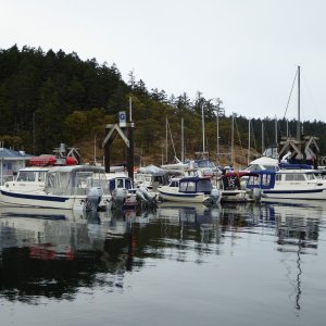 Some of the C-Brats at Friday Harbor on May 21st