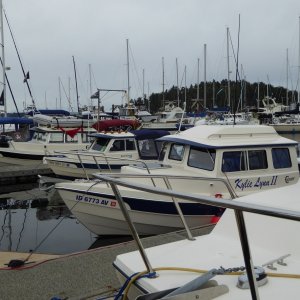 Some of the C-Brats at Friday Harbor on May 21st