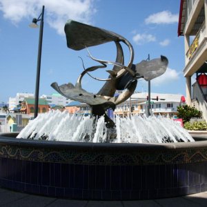 IMG 0026